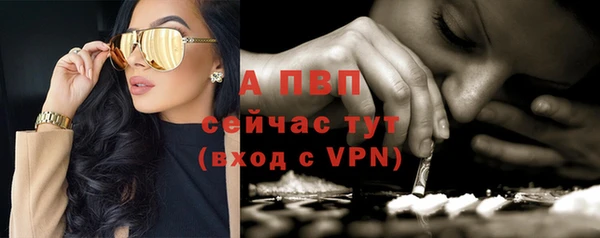крисы Нягань
