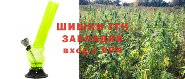 экстази Няндома