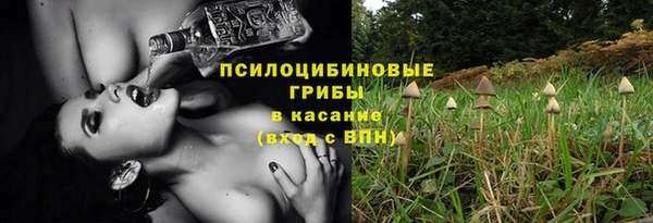 не бодяженный Новодвинск