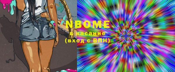не бодяженный Новодвинск