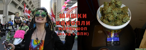 каннабис Новозыбков