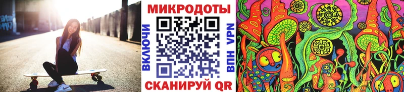 МЕГА как зайти  Кизляр  Псилоцибиновые грибы Psilocybe 
